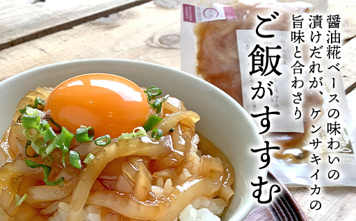 醤油糀のタレに漬けた剣先イカ専門店の「剣先イカの漬け丼」【解凍・のせるだけ】個食６パック｜HG000426