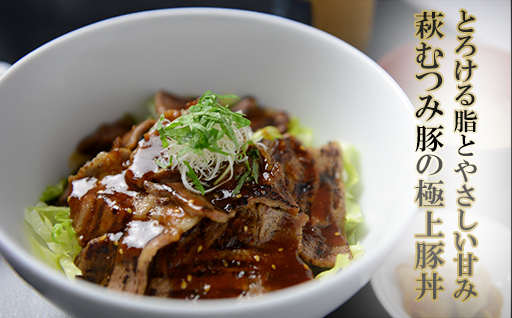 道の駅萩往還人気レストラン／「玄」の豚丼　2人前×5袋｜HG000547