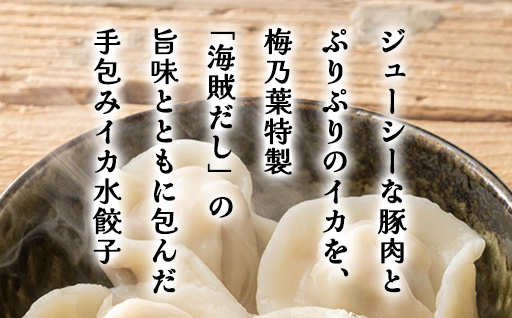 「人気・手包みイカ水餃子」【30個入】×3パック【パーティー規格】剣先イカ専門店オリジナル｜HG000594