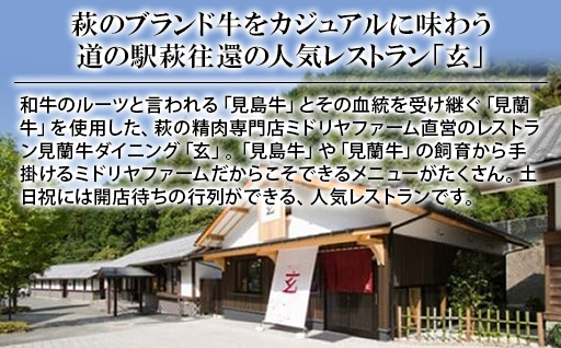 道の駅 萩往還 人気レストラン 「玄」オリジナルセット 金 2人前｜HG000599 2人前
