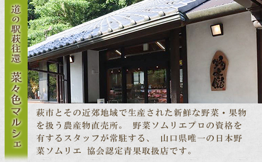 野菜ソムリエプロselect／萩・季節の食材セット　定期便お試し1回コース｜HG000601 定期便　お試し1回コース