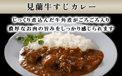 ハンバーグ 数量限定 見蘭牛 ダイニング 玄 オリジナルセット カレー シチュー ハンバーグ 各2個 計6個入り お肉｜HG000801