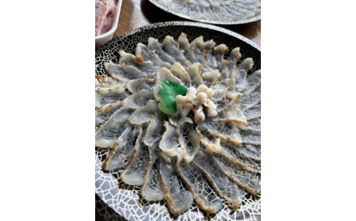 ふぐ 刺身 炙り セット 桜ふぐ 豪華2枚 セット (2～3人前) 割烹千代 萩 フグ 魚｜HG001015