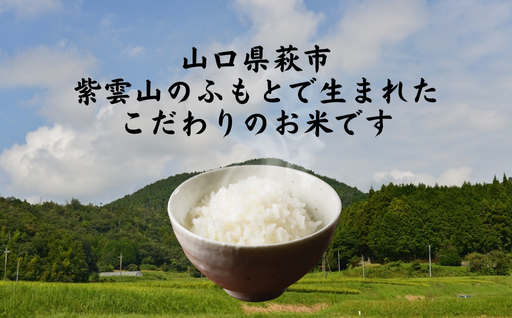 コシヒカリ 5kg 紫雲山 野菜ソムリエ プロselect 萩のお米 萩市 紫福産 米 お米 白米｜HG001019