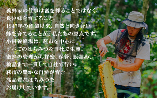 純粋天然　百花はちみつ　1kg×2本｜HG001063 1kg×2本