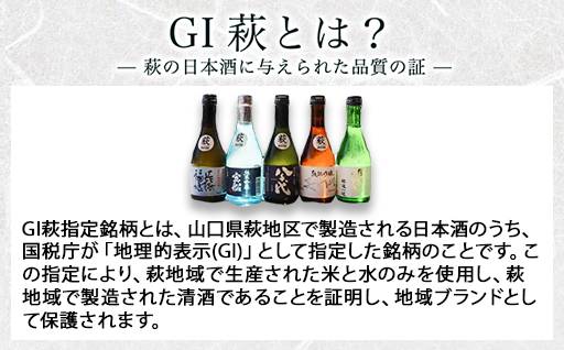 大人気・東洋美人壱番纏も含む！／萩の地酒定期便　隔月発送・3回コース｜HG0034-E