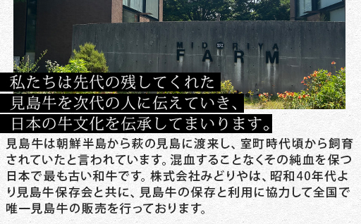 特製牛タンシチュー（3人前）｜HGH00034