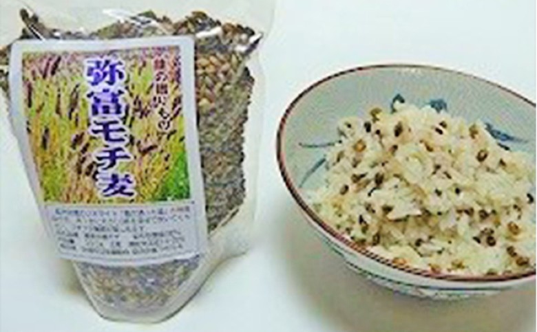 須佐　弥富もち麦セットもち麦　300g×5個｜HG000066