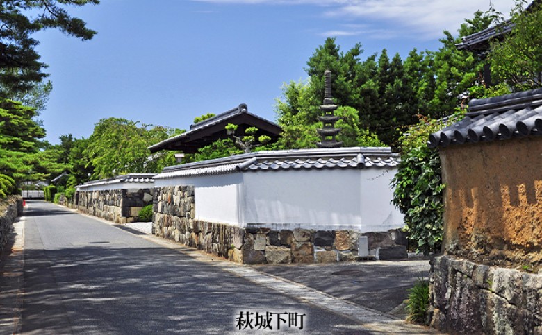 「ぶらり萩」観光タクシープランペア利用券｜HG000355