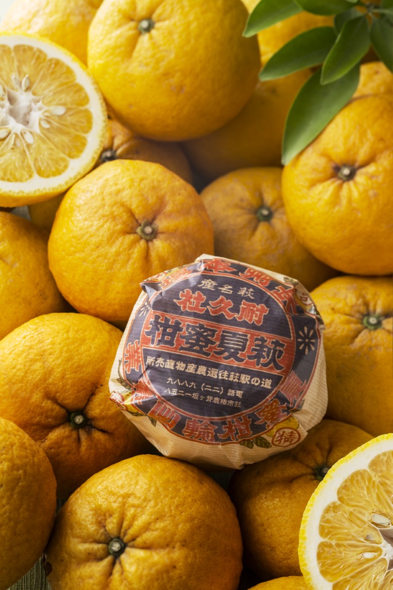 萩の甘夏 食べ比べ セット 8kg以上 20玉程度 野菜ソムリエ プロselect 甘夏 果物 デザート 柑橘｜HG001024