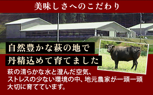 数量限定 牛肉 すき焼き かた 400g 山口県萩市産 見蘭牛 国産  すき焼き用 すきやき すき焼き肉 肉 お肉 牛｜HG000071