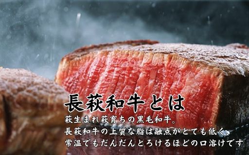 長萩和牛ハンバーグ　180g×5個｜HG000188