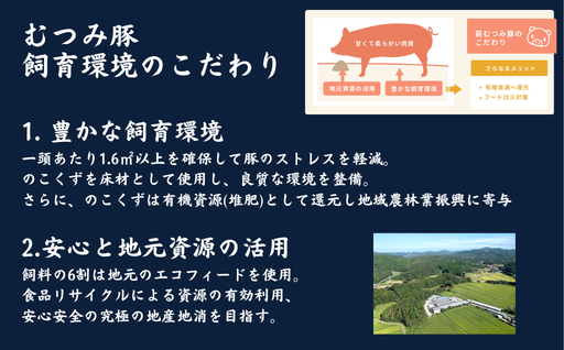豚肉 うす切り 1000g 萩むつみ豚 国産 肉 お肉 豚｜HG000191