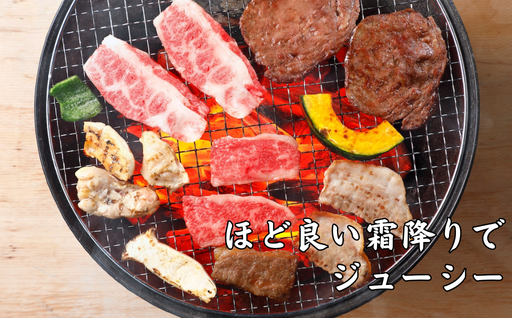 長萩和牛 焼肉用 500g【配達不可：離島】　｜HG000528