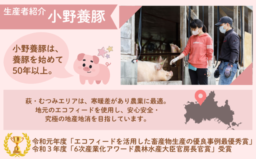 萩むつみ豚 食べ比べセット（大）｜HG000569