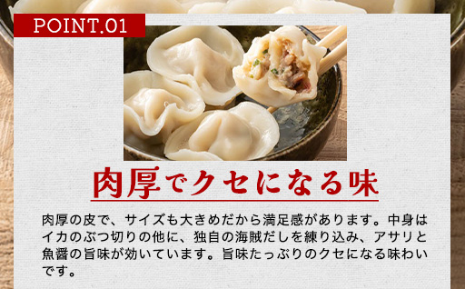 「人気・手包みイカ水餃子」【30個入】×3パック【パーティー規格】剣先イカ専門店オリジナル｜HG000594