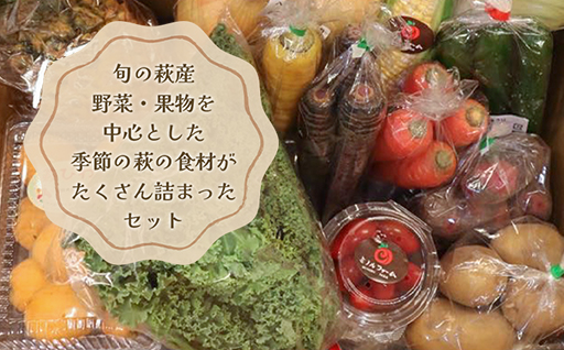 野菜ソムリエプロselect／萩・季節の食材セット　定期便お試し1回コース｜HG000601 定期便　お試し1回コース