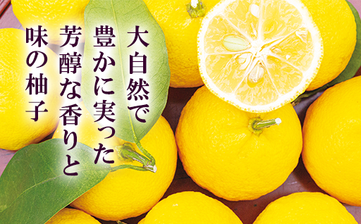 柚子屋のゆず茶3本セット 420g×3本 /飲料 柚子 フルーツドリンク　ギフト｜HG000829