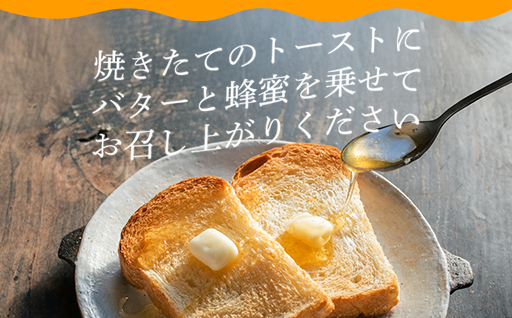 純粋天然　百花はちみつ　1kg×2本｜HG001063 1kg×2本