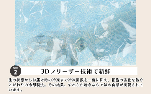 イカ 剣先イカ やわらか焼き 剣先イカ専門店こだわりの木桶仕込み醤油×甘糀で漬けたイカ焼き 6個 セット｜HG001073 イカ焼き　6個セット