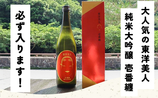 大人気・東洋美人壱番纏も含む！／萩の地酒定期便　隔月発送・6回コース｜HG0034-D