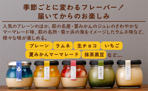 定期便 6ヶ月 プリン セット 食べ比べ 6個入 萩ぷりん亭 定番セット デザート お菓子 6回 お楽しみ ※配送不可：沖縄県・離島｜HG0T0878