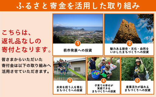 萩市応援寄付金 寄付金額10,000円分 ｜HGH00121