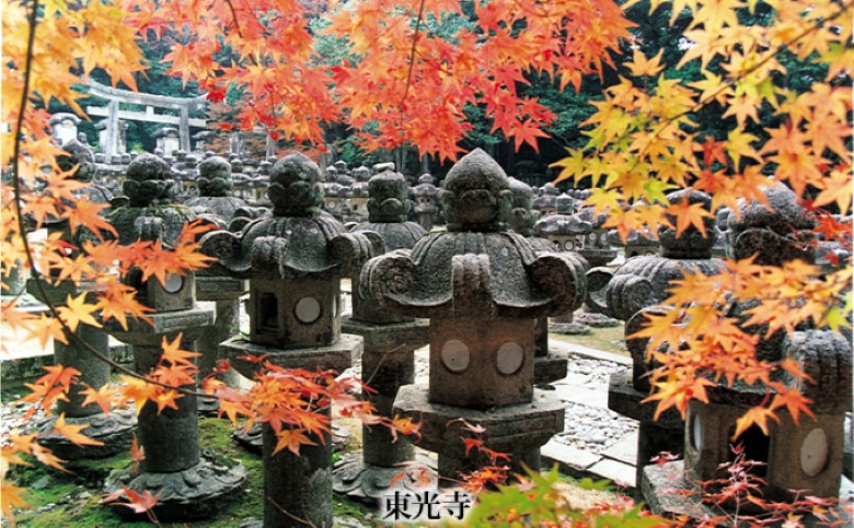 「ぶらり萩」観光タクシープランペア利用券｜HG000355