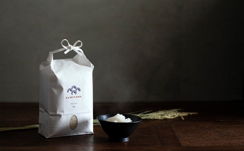 きぬむすめ 令和7年 5kg×2袋 セット 米 コメ こめ 萩産 KAMITAMA｜HG000391 5kg×2