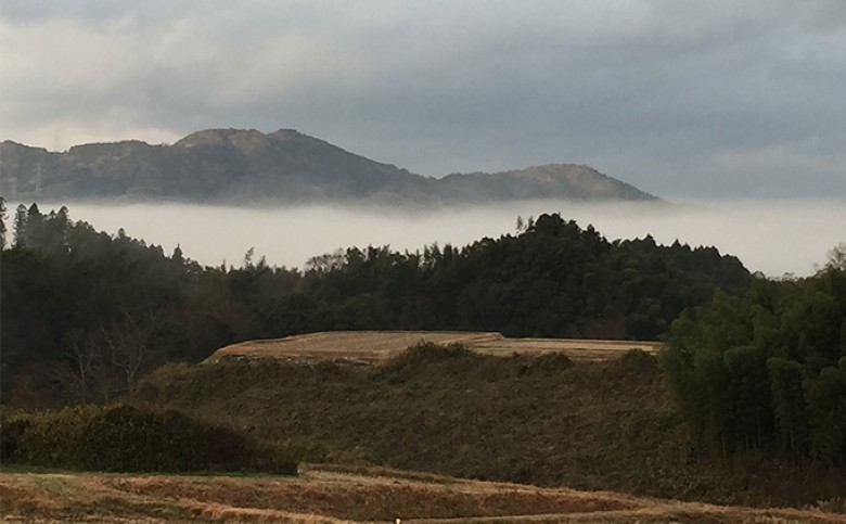 農家の手作り お米のシロップ 3個セット｜HG000579