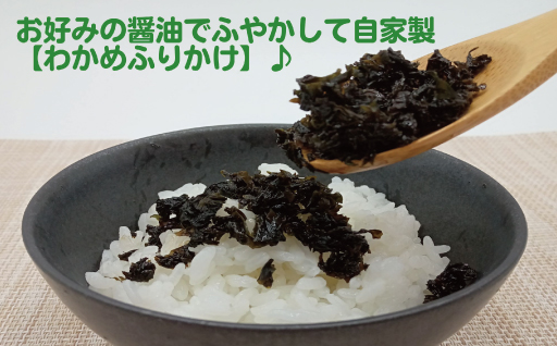 海藻 セット 山口県 萩産 天然 こまめ小町セット 2 配送不可 離島｜HG000406 セット2