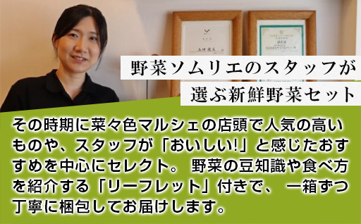 野菜ソムリエプロselect／萩・季節の食材セット　定期便お試し1回コース｜HG000601 定期便　お試し1回コース