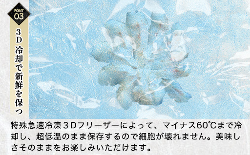 炙り のどぐろ 海鮮丼 お造り 50g個食 12皿 山口県産アカムツ 魚 3D急速冷凍仕様 海鮮丼のたれ 3本セットセット ギフト｜HG000811 12皿