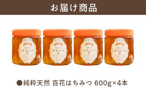 純粋天然　百花はちみつ　600g×4本｜HG001062 600g×4本