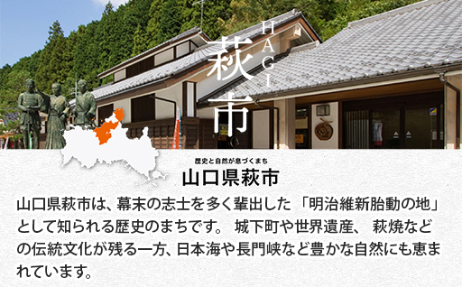 大人気・東洋美人壱番纏も含む！／萩の地酒定期便　隔月発送・3回コース｜HG0034-E