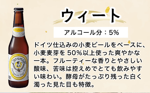萩の地ビールを堪能！／チョンマゲビール定期便　12本セット　毎月発送・6回コース｜HG0T0437