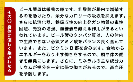 城下町・萩の地ビール／夏みかん萩エール12本セット｜HG0005-B
