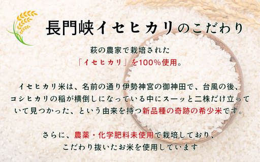 長門峡　イセヒカリ純米　　720ml｜HGH00044