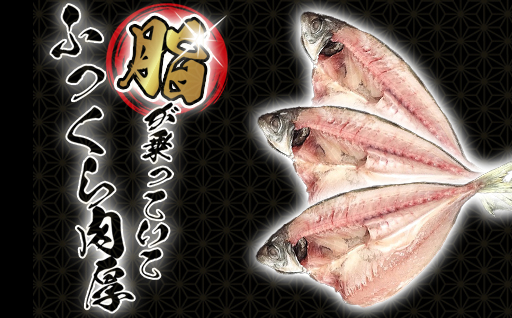 萩の瀬つきあじ開きセット(8尾入り)｜HGH00091