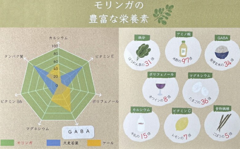 モリンガ パウダー 50g×2袋 スーパーフード 健康｜HG000885