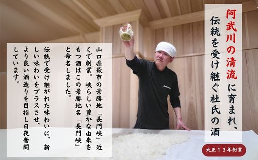 大吟醸 セット 720ml×2 日本酒 長門峡 お酒 酒 アルコール｜HG000120