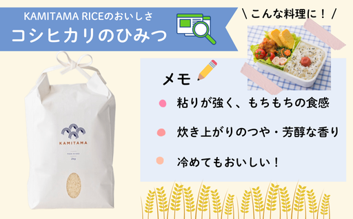 コシヒカリ 令和7年 2kg×2袋 セット 米 コメ こめ 萩産 KAMITAMA｜HG000288