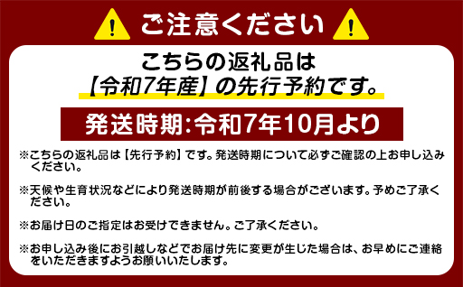 きぬむすめ 令和7年 5kg×2袋 セット 米 コメ こめ 萩産 KAMITAMA｜HG000391 5kg×2