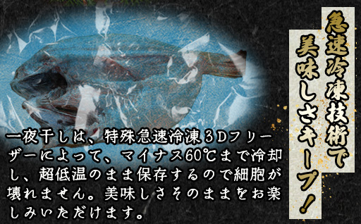 のどぐろ ほろ酔い干し【一夜干し】-Ｌサイズ2尾 山口県産 のどぐろを「東洋美人」純米大吟醸で染ませて干した 高級干物【贈答品級】｜HG000423