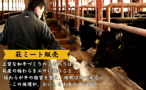 長萩和牛 焼肉用 500g【配達不可：離島】　｜HG000528