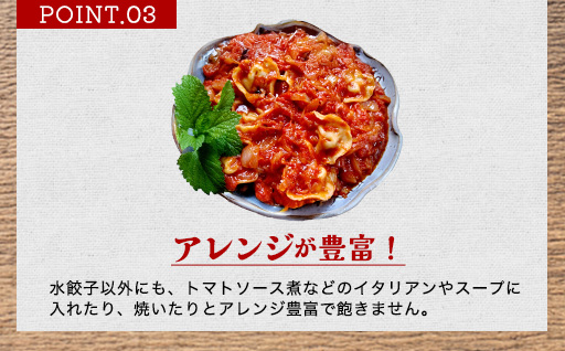 「人気・手包みイカ水餃子」【30個入】×3パック【パーティー規格】剣先イカ専門店オリジナル｜HG000594