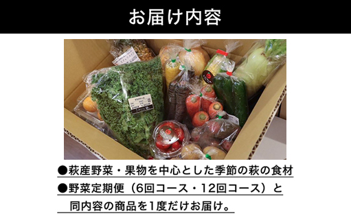 野菜ソムリエプロselect／萩・季節の食材セット　定期便お試し1回コース｜HG000601 定期便　お試し1回コース