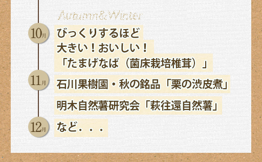 野菜ソムリエプロselect／萩・季節の食材定期便　毎月発送・12回コース｜HG0T0038 定期便　毎月発送12回コース