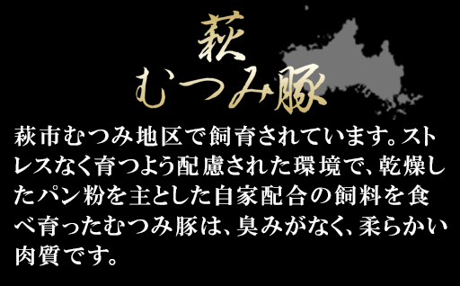 大人の濃厚キーマカレー（5人前）｜HG0038-A 5人前