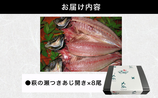 萩の瀬つきあじ開きセット(8尾入り)｜HGH00091
